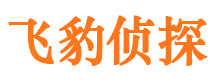 平和寻人公司